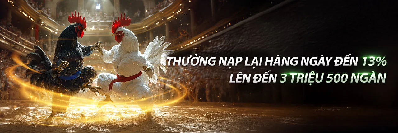 Đá Gà Thomo City - Sân Đấu Kịch Tính